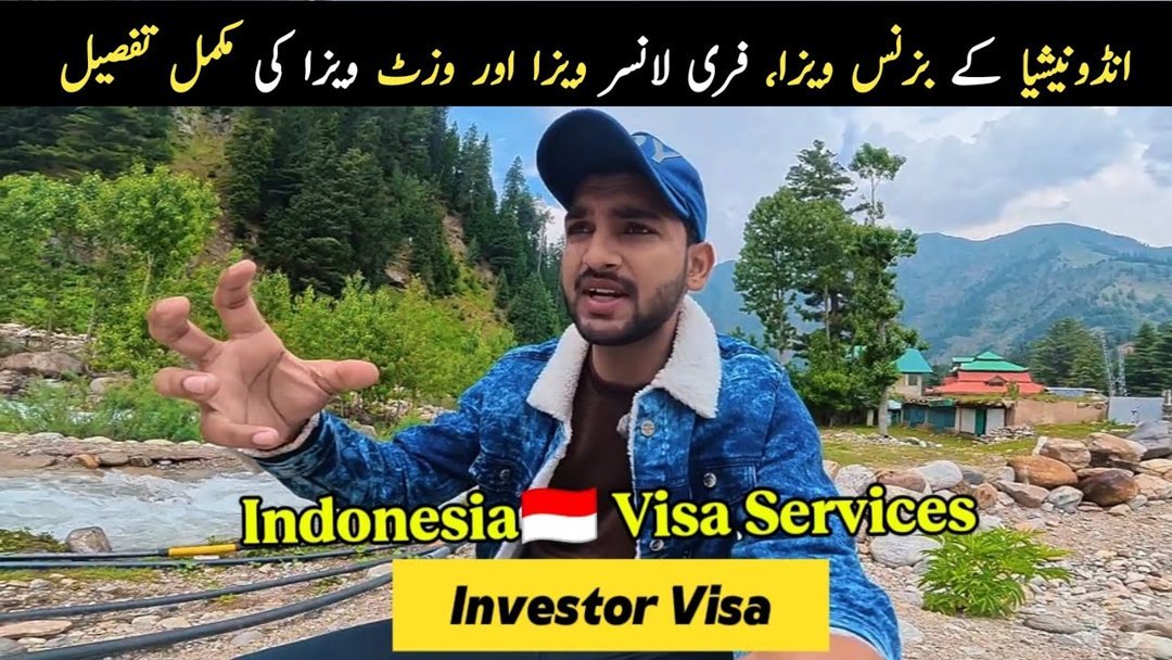 Visa options 2026: visit, investor, D12, freelancer